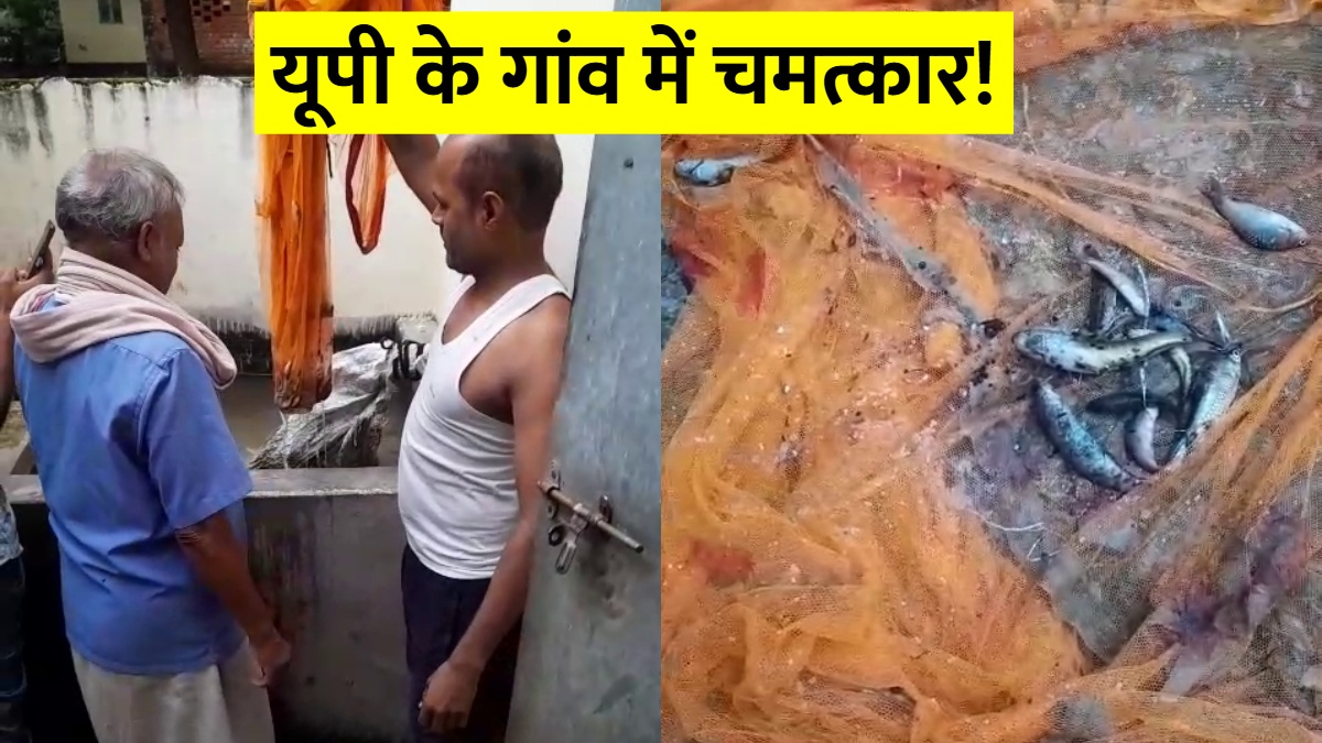 जमीन फाड़कर निकलीं मछलियां! गांव में हैंडपंप और ट्यूबवेल दिखाने लगे चमत्कार, देखें VIDEO