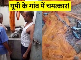 जमीन फाड़कर निकलीं मछलियां! गांव में हैंडपंप और ट्यूबवेल दिखाने लगे चमत्कार जमीन फाड़कर निकलीं मछलियां! गांव में हैंडपंप और ट्यूबवेल दिखाने लगे चमत्कार