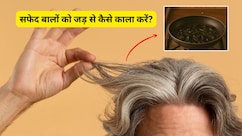 सफेद बालों को 7 दिनों में जड़ से काला कर देगा ये आयुर्वेदिक तेल! डॉक्टर ने बताया घर पर कैसे करें तैयार