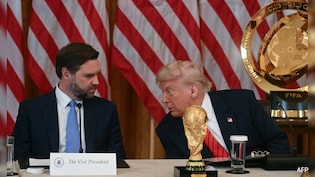 Donald Trump's New Title For JD Vance: "Fraud Czar". What That Means