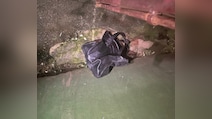 Explosive Found In Abandoned Bag In Meghalaya, Defused By Police