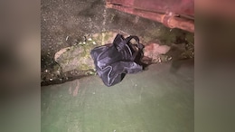 Explosive Found In Abandoned Bag In Meghalaya, Defused By Police