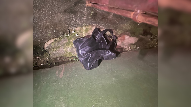 Explosive Found In Abandoned Bag In Meghalaya, Defused By Police