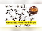 मच्छर किस गंध से नफरत करते हैं? इन 3 चीजों से 5 म‍िनट में तैयार करें मॉस्‍क‍िटो क‍िलर स्‍प्रे और लोशन