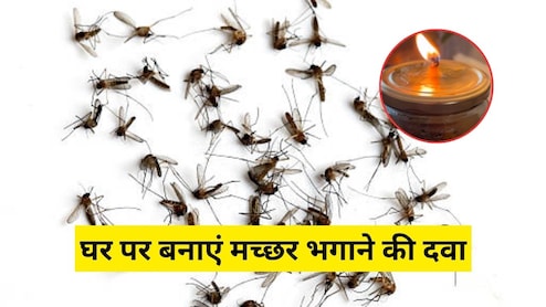 चायपत्ती के साथ ये 4 चीजें मिलाकर बना लें मच्छर भगाने की रामबाण दवा, जलाते ही घर में लग जाएगा मच्छरों का ढेर