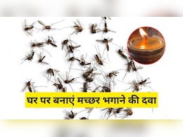 चायपत्ती के साथ ये 4 चीजें मिलाकर बना लें मच्छर भगाने की रामबाण दवा, जलाते ही घर में लग जाएगा मच्छरों का ढेर चायपत्ती के साथ ये 4 चीजें मिलाकर बना लें मच्छर भगाने की रामबाण दवा, जलाते ही घर में लग जाएगा मच्छरों का ढेर