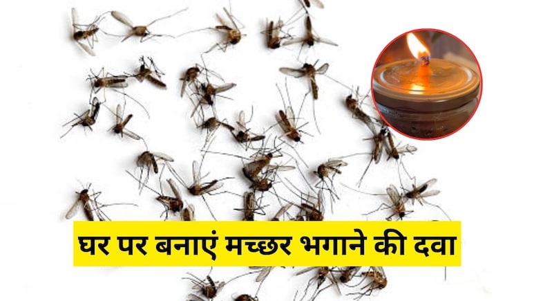 चायपत्ती के साथ ये 4 चीजें मिलाकर बना लें मच्छर भगाने की रामबाण दवा, जलाते ही घर में लग जाएगा मच्छरों का ढेर चायपत्ती के साथ ये 4 चीजें मिलाकर बना लें मच्छर भगाने की रामबाण दवा, जलाते ही घर में लग जाएगा मच्छरों का ढेर