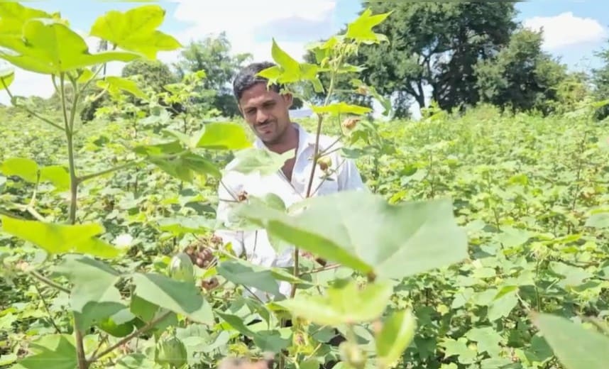 खेतों में काम करते कुंतेवार खेतों में काम करते कुंतेवार