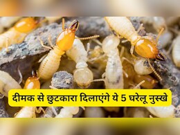 दीमक से छुटकारा पाने के लिए आज ही अपना लें ये 5 घरेलू नुस्खे, खराब होने से बच जाएगा लाखों का फर्नीचर दीमक से छुटकारा पाने के लिए आज ही अपना लें ये 5 घरेलू नुस्खे, खराब होने से बच जाएगा लाखों का फर्नीचर