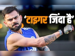टाइगर जिंदा है... कोहली को छेड़ोगे तो विराट छोड़ेगा नहीं टाइगर जिंदा है... कोहली को छेड़ोगे तो विराट छोड़ेगा नहीं
