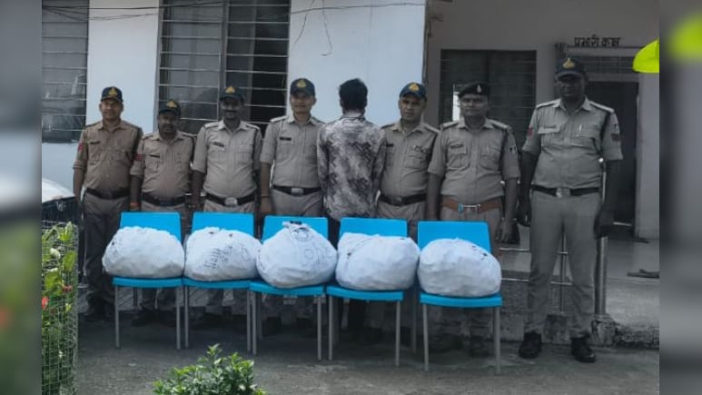 नहीं थम रहा कफ सिरप का अवैध कारोबार; सीधी पुलिस ने 1300 शीशी की जब्त, तीन गिरफ्तार नहीं थम रहा कफ सिरप का अवैध कारोबार; सीधी पुलिस ने 1300 शीशी की जब्त, तीन गिरफ्तार