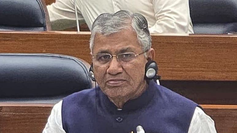 BJP MP To Lead India's Non-Official Delegation To UN General Assembly