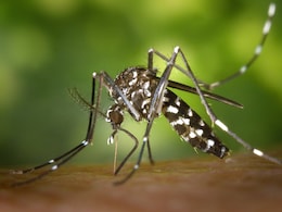 Chennai Records Surge In Fever And Dengue Cases, Doctors Urge Caution