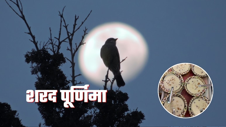 Sharad Purnima: शरद पूर्णिमा पर क्या आसमान से बरसता है 'अमृत', चांदनी में रखी 'खीर' का इतना महत्व क्यों? Sharad Purnima: शरद पूर्णिमा पर क्या आसमान से बरसता है 'अमृत', चांदनी में रखी 'खीर' का इतना महत्व क्यों?