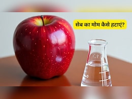 सेब खाने से पहले सावधान! केमिकल वैक्स हो सकता है खतरनाक, जान लीजिए इसे हटाने के 4 घरेलू उपाय सेब खाने से पहले सावधान! केमिकल वैक्स हो सकता है खतरनाक, जान लीजिए इसे हटाने के 4 घरेलू उपाय