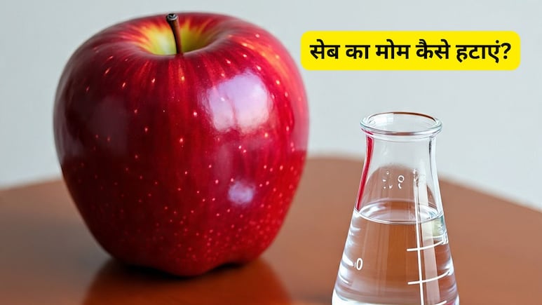 सेब खाने से पहले सावधान! केमिकल वैक्स हो सकता है खतरनाक, जान लीजिए इसे हटाने के 4 घरेलू उपाय सेब खाने से पहले सावधान! केमिकल वैक्स हो सकता है खतरनाक, जान लीजिए इसे हटाने के 4 घरेलू उपाय
