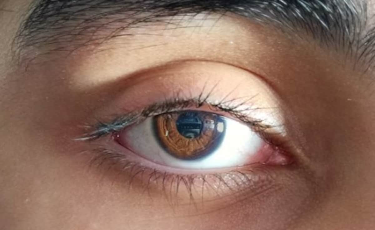 Latest and Breaking News on NDTV Latest and Breaking News on NDTV