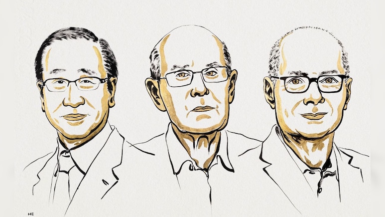 Discovery To Win Nobel Prize In Chemistry Likened To 'Harry Potter' Enchanted Handbag