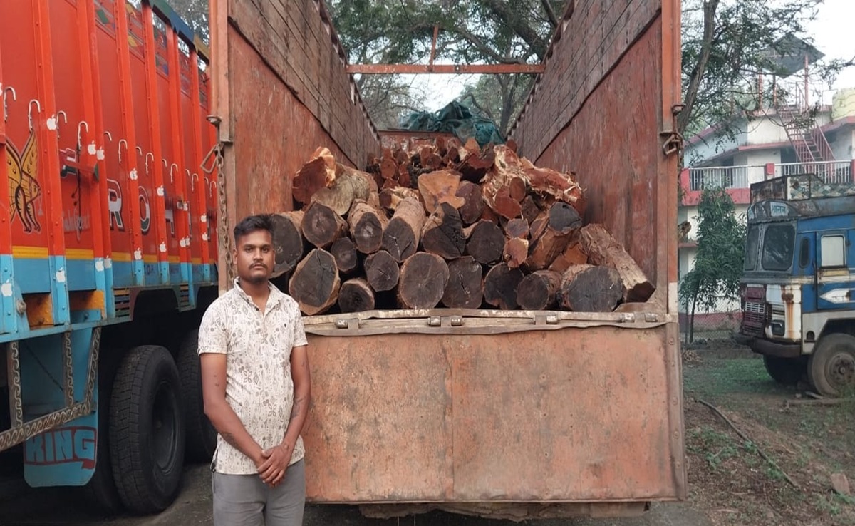 Smuggling: दुर्लभ लकड़ियों की तस्करी पर वन विभाग का बड़ा एक्शन; लाखों की संपत्ति जब्त, एक गिरफ्तार