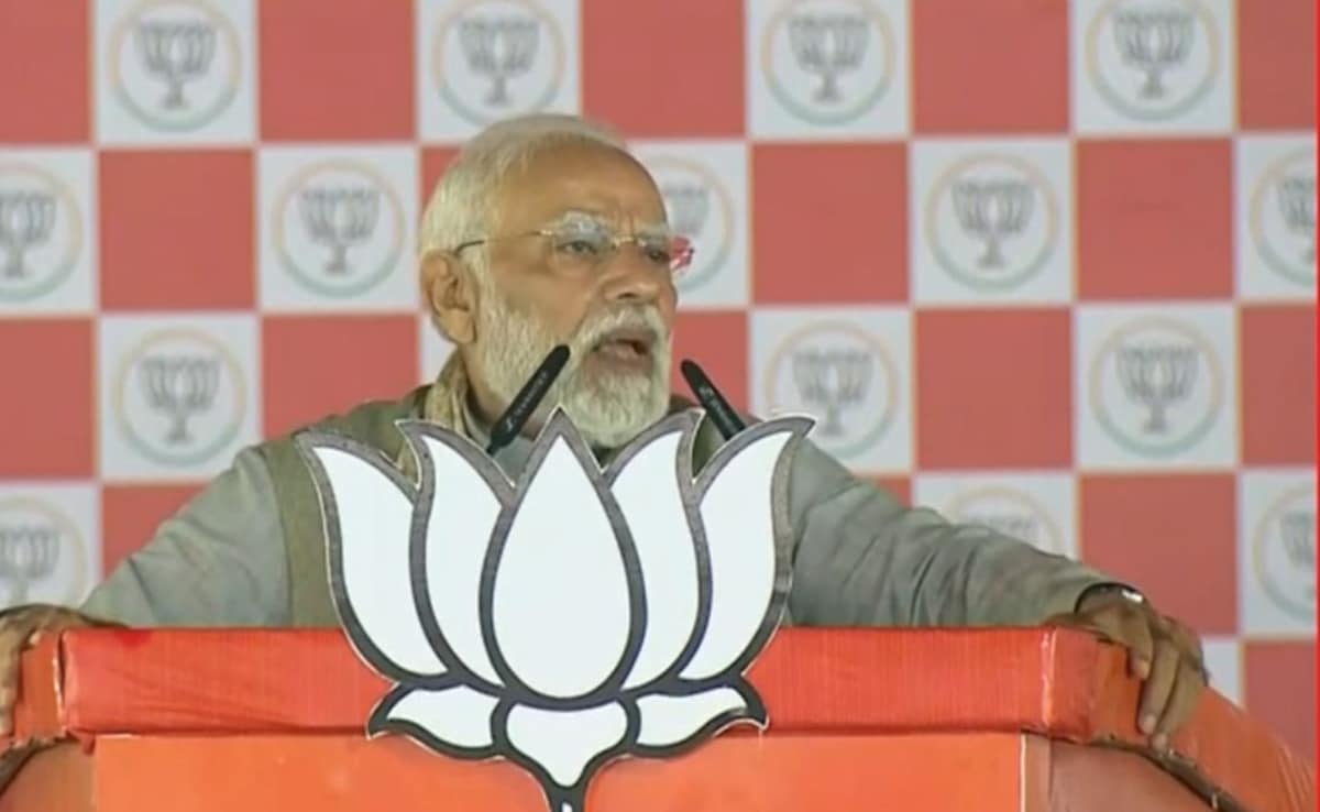 "Like Water And Oil": PM Says Rift Between Rahul Gandhi, Tejashwi's Parties