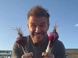 Watch: What's David Beckham Harvesting From His Garden? Victoria Reveals Watch: What's David Beckham Harvesting From His Garden? Victoria Reveals