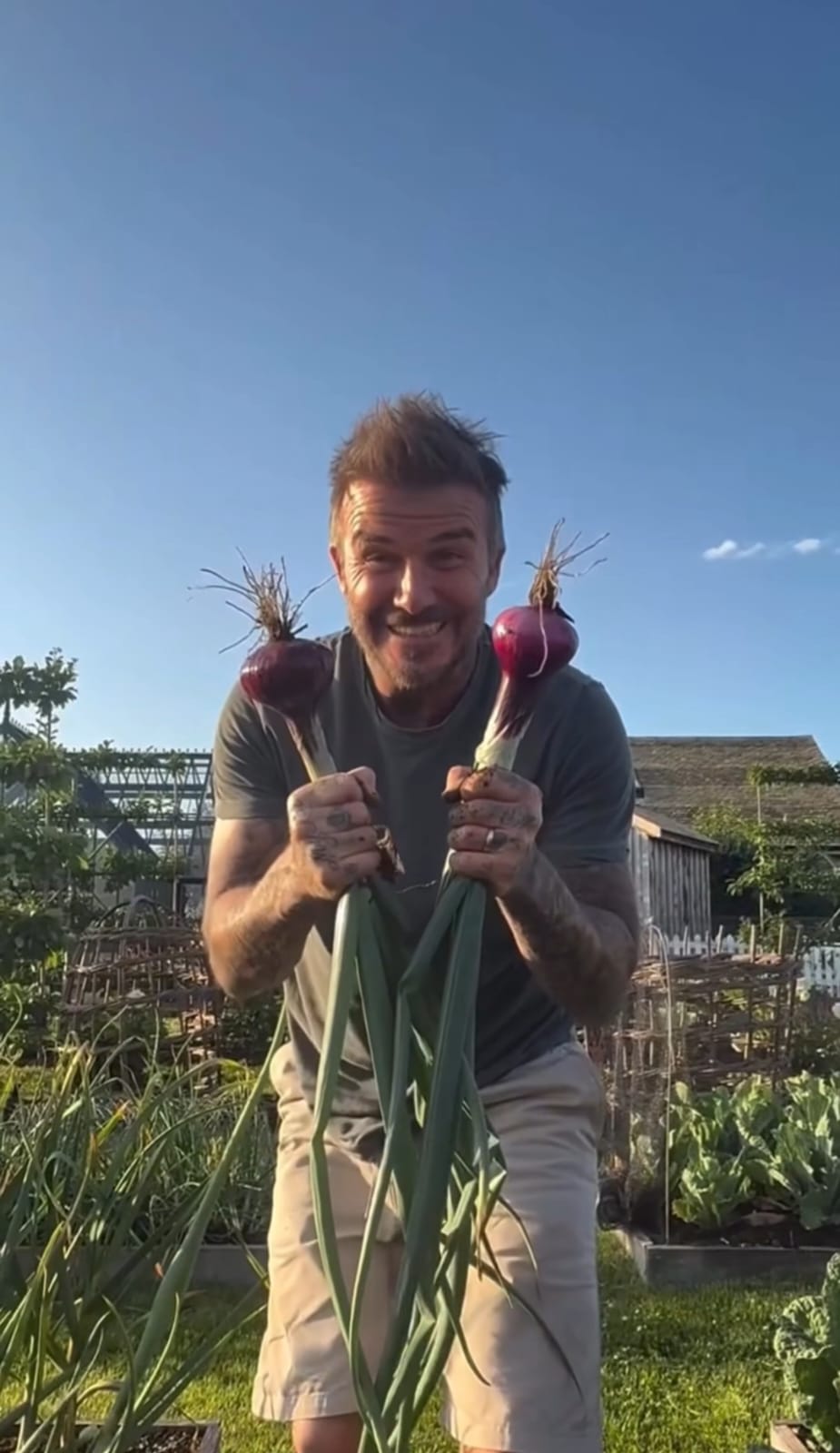 Watch: What's David Beckham Harvesting From His Garden? Victoria Reveals