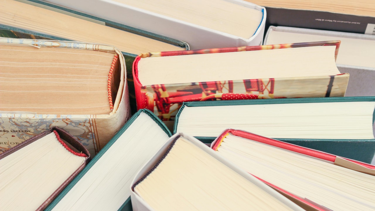 What books should you read to learn about the United Nations in 2025