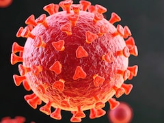 नई रिसर्च का दावा ! कोविड से इंफेक्टेड पिता के बच्चों के दिमाग और व्यवहार पर पड़ सकता है असर