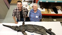 190-Million-Year-Old 'Sword Dragon' Found On Britain's Jurassic Coast