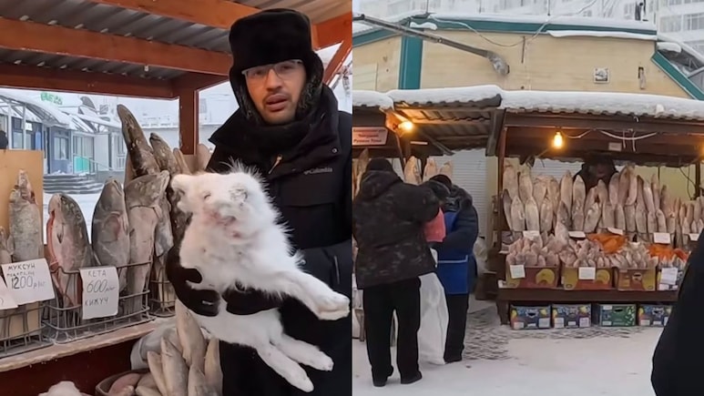 Watch: This Is How Vendors Survive And Sell Goods In The Coldest City On Earth Watch: This Is How Vendors Survive And Sell Goods In The Coldest City On Earth