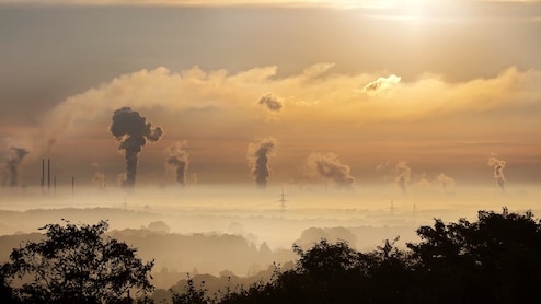 Unhealthy AQI: Immediate Steps To Protect Your Family From Air Pollution