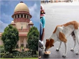 विदेशों में भी छवि खराब हो रही.... आवारा कुत्तों के मामले में सुप्रीम कोर्ट ने फिर लगाई लताड़ विदेशों में भी छवि खराब हो रही.... आवारा कुत्तों के मामले में सुप्रीम कोर्ट ने फिर लगाई लताड़