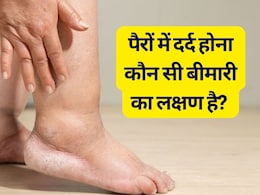 पैरों में दर्द क्यों होता है? बिना वजह पैरों में दर्द क्यों होता है? जान लें किस बीमार का हो सकता है लक्षण पैरों में दर्द क्यों होता है? बिना वजह पैरों में दर्द क्यों होता है? जान लें किस बीमार का हो सकता है लक्षण