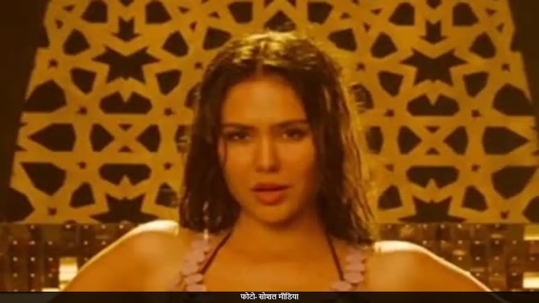 'एक दीवाने की दीवानियत' की एक्ट्रेस रही है पंजाबी फिल्मों की शान, दे चुकी है हिट पे हिट, देखे 7 खूबसूरत तस्वीरें 'एक दीवाने की दीवानियत' की एक्ट्रेस रही है पंजाबी फिल्मों की शान, दे चुकी है हिट पे हिट, देखे 7 खूबसूरत तस्वीरें
