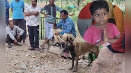 टीकमगढ़ में पिता को पानी लेने गई 5 साल की मासूम गायब, खोजने में लगी पुलिस की टीमें