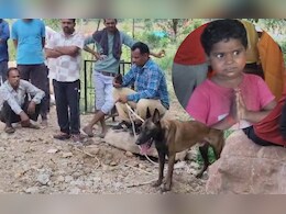 टीकमगढ़ में पिता को पानी लेने गई 5 साल की मासूम गायब, खोजने में लगी पुलिस की टीमें टीकमगढ़ में पिता को पानी लेने गई 5 साल की मासूम गायब, खोजने में लगी पुलिस की टीमें