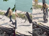 हरिद्वार में गंगा किनारे निकला  13 फुट लंबा किंग कोबरा, फिर आगे क्या हुआ...  हरिद्वार में गंगा किनारे निकला  13 फुट लंबा किंग कोबरा, फिर आगे क्या हुआ...