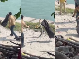 हरिद्वार में गंगा किनारे निकला  13 फुट लंबा किंग कोबरा, फिर आगे क्या हुआ...  हरिद्वार में गंगा किनारे निकला  13 फुट लंबा किंग कोबरा, फिर आगे क्या हुआ...