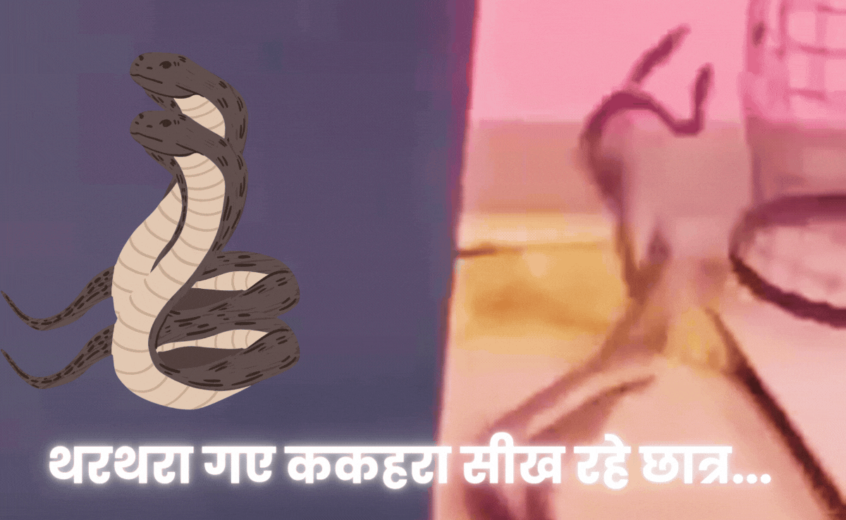 Snake Dance: क्लासरूम में अचानक शुरू हो गया नाग-नागिन का रोमांस, सिर पर पांव रख भागे टीचर और स्टूडेंट्स