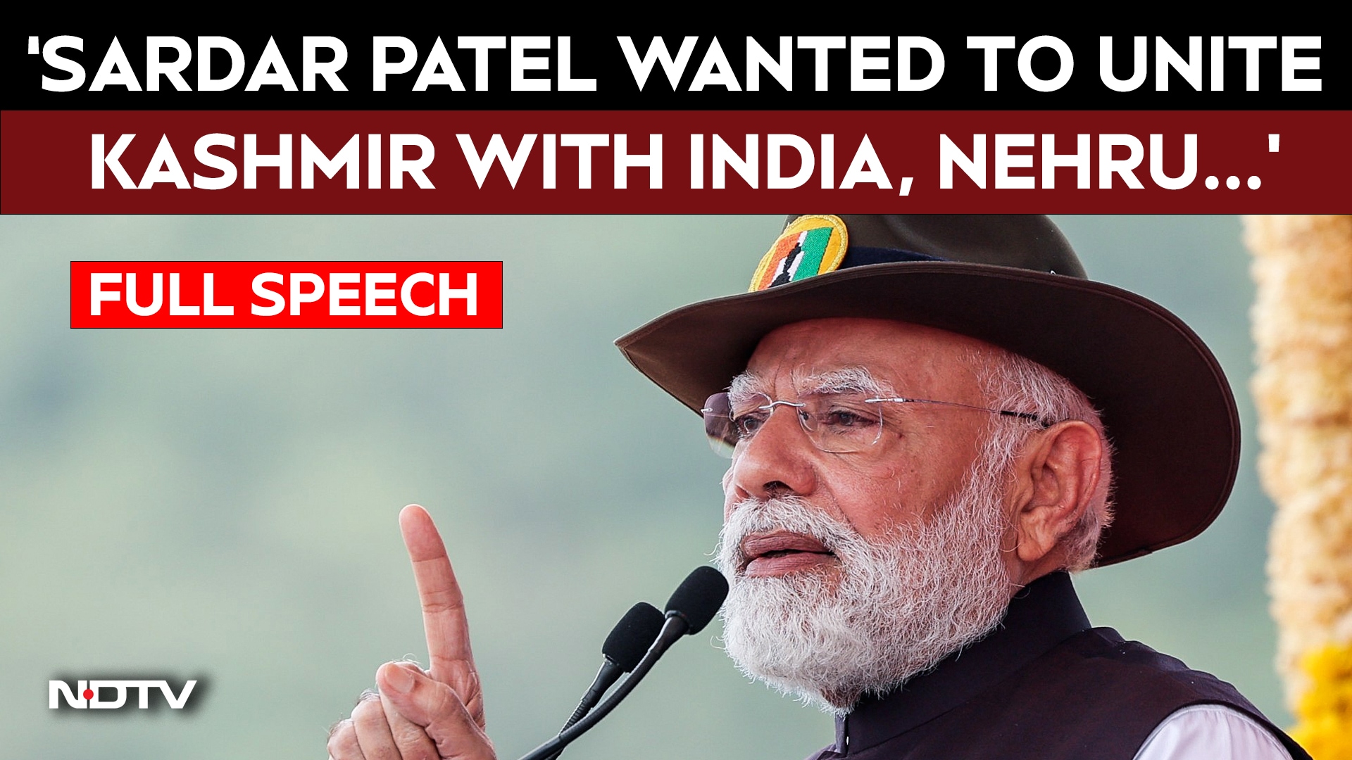 Sardar Patel Wanted To Unite Kashmir With India, Nehru Didn't Allow: PM Modi