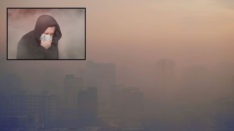 Mumbai Air Quality : जगातील दुसरं सर्वाधिक प्रदूषित शहर! दिवाळीत मुंबईतील हवेची गुणवत्ता धोकादायक पातळीवर Mumbai Air Quality : जगातील दुसरं सर्वाधिक प्रदूषित शहर! दिवाळीत मुंबईतील हवेची गुणवत्ता धोकादायक पातळीवर