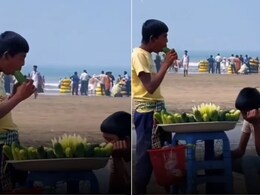 सामने समंदर है भाई... खीरे पर थूक लगाकर बेचता दिखा ठेलेवाला, Video देखकर लोगों को आया गुस्सा! सामने समंदर है भाई... खीरे पर थूक लगाकर बेचता दिखा ठेलेवाला, Video देखकर लोगों को आया गुस्सा!