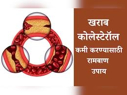 Bad Cholesterol Control Tips: दह्यात केवळ एक गोष्ट मिक्स करुन खा, खराब कोलेस्टेरॉल पटकन होईल कमी; वाचा उपाय Bad Cholesterol Control Tips: दह्यात केवळ एक गोष्ट मिक्स करुन खा, खराब कोलेस्टेरॉल पटकन होईल कमी; वाचा उपाय