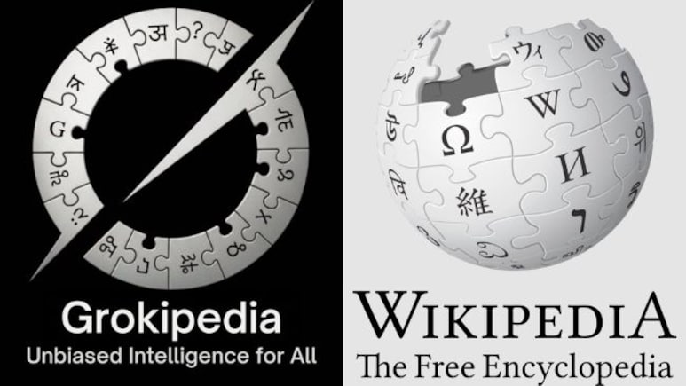 'Even Musk's AI Encyclopedia Needs Us To Exist': Wikipedia's Dig At Grokipedia