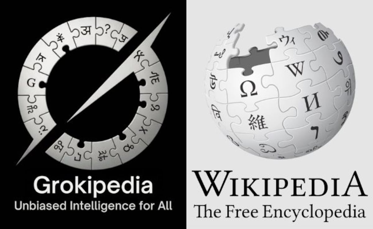 'Even Musk's AI Encyclopedia Needs Us To Exist': Wikipedia's Dig At Grokipedia