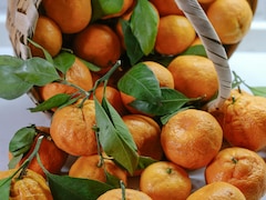 Sirsa Kinnow Gets GI Tag, Becomes Haryana's First Fruit With The Recognition