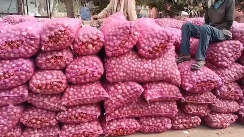 Rajasthan: 50 पैसे किलो पहुंचा प्याज, भावुक होकर बोले किसान- 'लागत भी नहीं निकल पा रही'&nbsp;