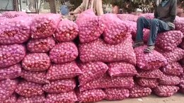 Rajasthan: अलवर के प्याज ने निकाले किसानों के आंसू! बेहतर दाम न मिलने से बढ़ी टेंशन