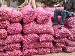 Rajasthan: अलवर के प्याज ने निकाले किसानों के आंसू! बेहतर दाम न मिलने से बढ़ी टेंशन Rajasthan: अलवर के प्याज ने निकाले किसानों के आंसू! बेहतर दाम न मिलने से बढ़ी टेंशन