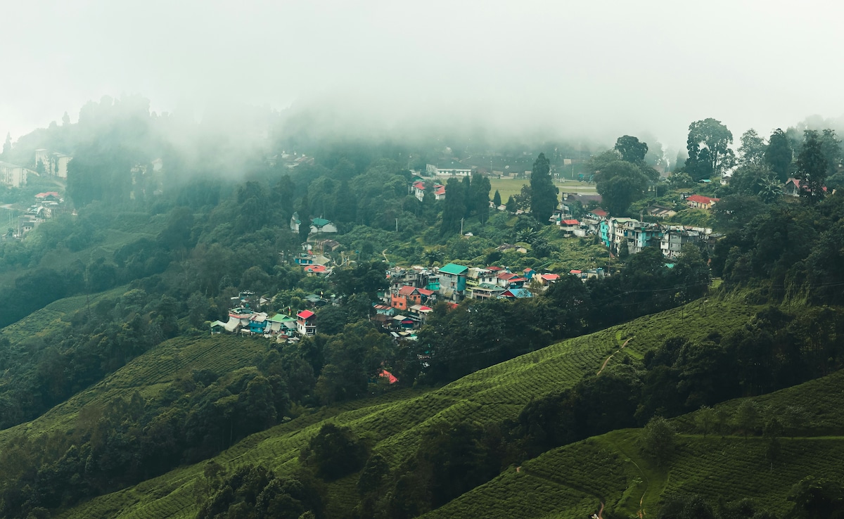 Latest and Breaking News on NDTV Latest and Breaking News on NDTV